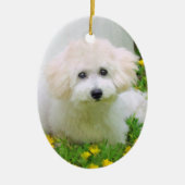Twee Sided Photo Holiday Ornament (Voorkant)
