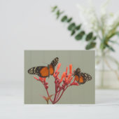 Twee Sinaasappel Zwart Wit Vlinders DIY Briefkaart (Staand voorkant)