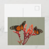Twee Sinaasappel Zwart Wit Vlinders DIY Briefkaart (Voorkant / Achterkant)