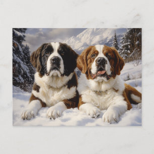 Twee Sint Bernards in de sneeuw Briefkaart