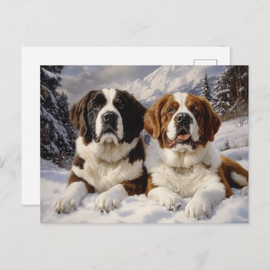 Twee Sint Bernards in de sneeuw Briefkaart (Voorkant / Achterkant)
