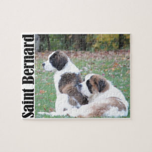 Twee Sint-Bernards Legpuzzel