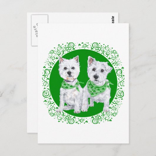 Twee Sitting Westies op St Patricks Day Briefkaart (Voorkant / Achterkant)