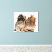 Twee sjiitische Tzus in de wind Canvas Afdruk (Insitu (Houten vloer))