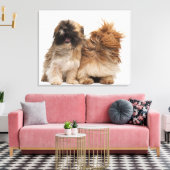 Twee sjiitische Tzus in de wind Canvas Afdruk (Insitu (Woonkamer))