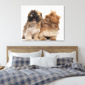 Twee sjiitische Tzus in de wind Canvas Afdruk (Insitu (Slaapkamer))