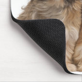 Twee sjiitische Tzus in de wind Muismat (Hoek)