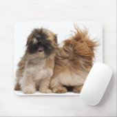 Twee sjiitische Tzus in de wind Muismat (Met muis)