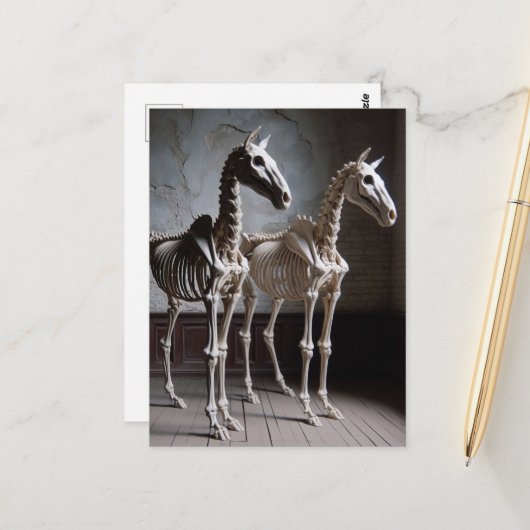 Twee skeletpaarden briefkaart (Voorkant / Achterkant in situ)