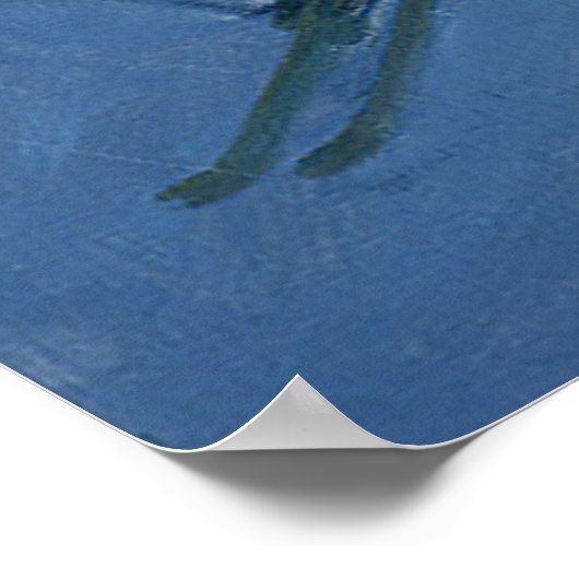 Twee skiën 2004 poster (Hoek)