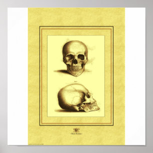 Twee Skulls Poster