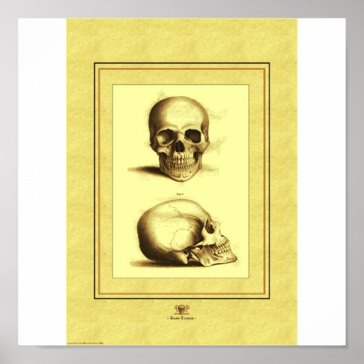 Twee Skulls Poster (Voorkant)