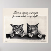 Twee Slaapige Katten, Foto, Liefde is ...