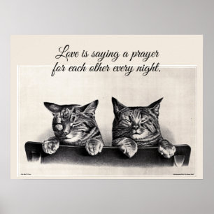 Twee Slaapige Katten, Foto, Liefde is ... Poster