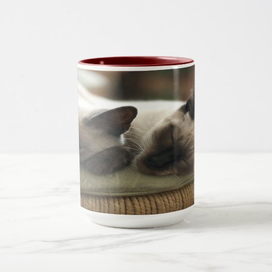 Twee Slaapse Siamese Mok (Midden)