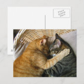 Twee slaaptabletten briefkaart (Voorkant / Achterkant)