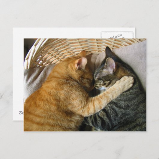 Twee slaaptabletten briefkaart (Voorkant / Achterkant)