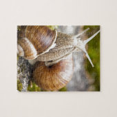 Twee slakken legpuzzel (Horizontaal)