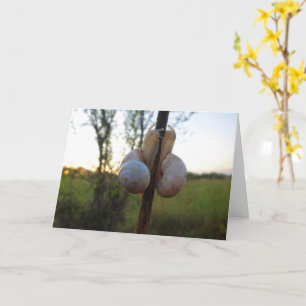 Twee slakken op een stem kaart