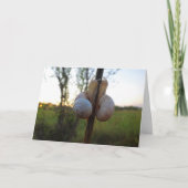 Twee slakken op een stem kaart (Voorkant)