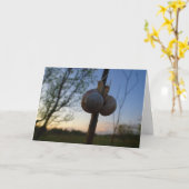 Twee slakken op een stoomkaart kaart (Gele Bloem)