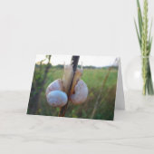 Twee slakken op een stoomkaart kaart (Voorkant)