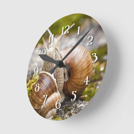 Twee slakken ronde klok (Hoek)