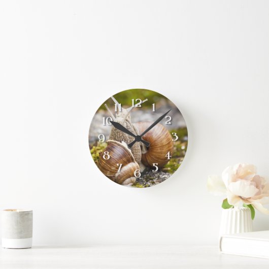 Twee slakken ronde klok (Huis)