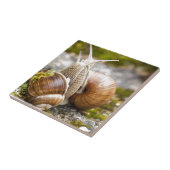 Twee slakken tegeltje (Zijkant)