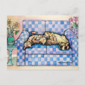 Twee slapende Tabby Cats Briefkaart (Voorkant)