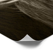 twee sleepslang poster (Hoek)