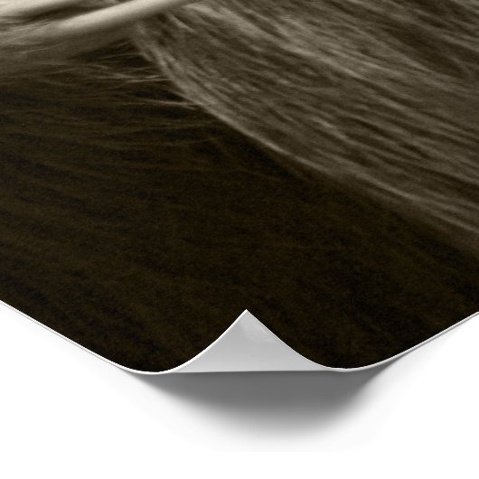 twee sleepslang poster (Hoek)