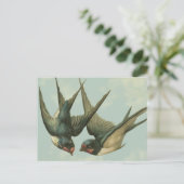 Twee  slikken briefkaart (Staand voorkant)