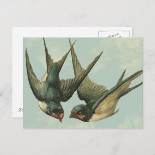 Twee slikken briefkaart (Voorkant / Achterkant)