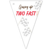 Twee snelle 2e verjaardag opgroeien vlaggetjes (Eerste vlag)