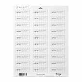 Twee snelle blauwe raceautojongen 2e verjaardag etiket (Full Sheet)