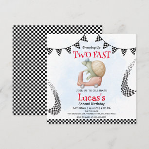 Twee snelle wilde schildpad fiets 2e verjaardag pa