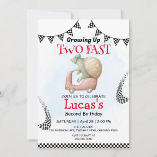 Twee snelle wilde schildpad fiets 2e verjaardag pa kaart