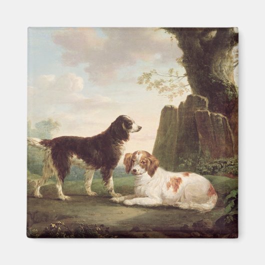 Twee spanielen in een landschap magneet (Voorkant)