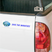 Twee sparen Manateboarden in het Ovale Onduidelijk Bumpersticker (Op Truck)