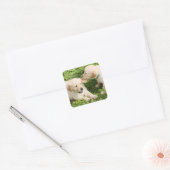 Twee speelse gele lab Puppies keramische Ornament Vierkante Sticker (Envelop)