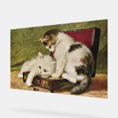 Twee speelse katjes acryl bord (Hoek)