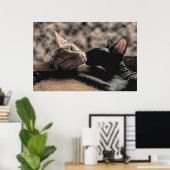 Twee Sphynx katten kussen - Liefde echte foto Poster (Thuiskantoor)