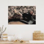 Twee Sphynx katten kussen - Liefde echte foto Poster (Keuken)