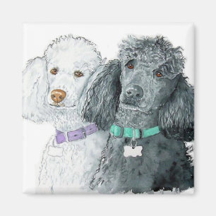 Twee spuitdoppen Magnet