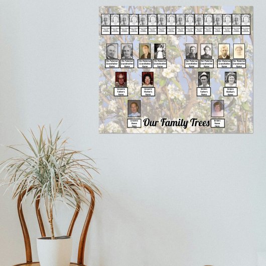 Twee stambomen op witte bloesems foto poster