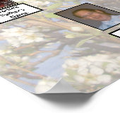 Twee stambomen op witte bloesems foto poster (Hoek)