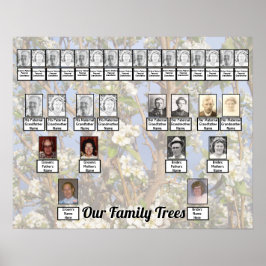 Twee stambomen op witte bloesems foto poster