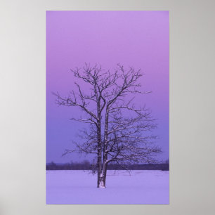 Twee-stammige boom bij zonsopgang; Chippewa County Poster