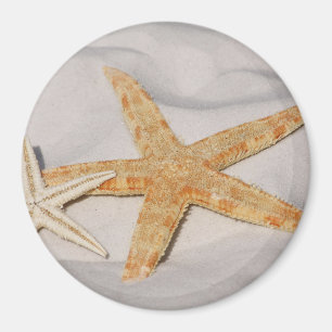 Twee Starfish in de zand Magneet